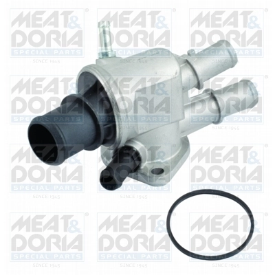 Thermostat, coolant